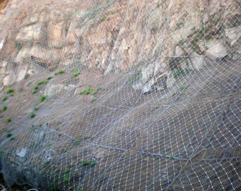 wKhQpVWcwXqELkGoAAAAAPdEkyo254.jpg wKhQpVWcwXqELkGoAAAAAPdEkyo254.jpg