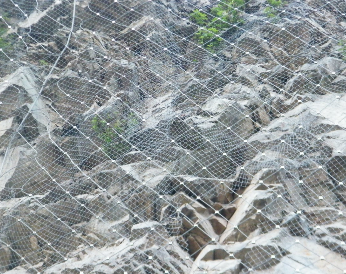 ����(d��ng)���o(h��)�W(w��ng)�đ�(y��ng)��