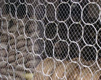 201211101414455549685.jpg 201211101414455549685.jpg