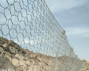 IMG_20150730_114703_6516108.jpg IMG_20150730_114703_6516108.jpg